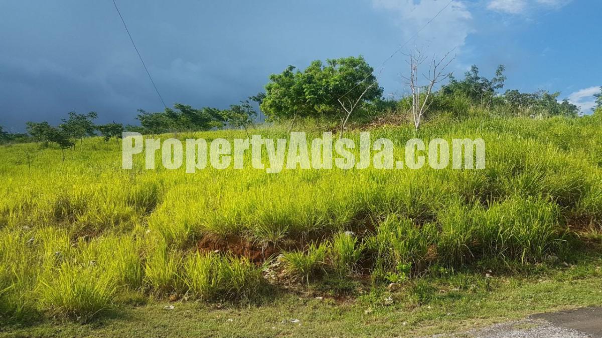 Residential lot For Sale in Plantation Heights Red Hills, Kingston / St