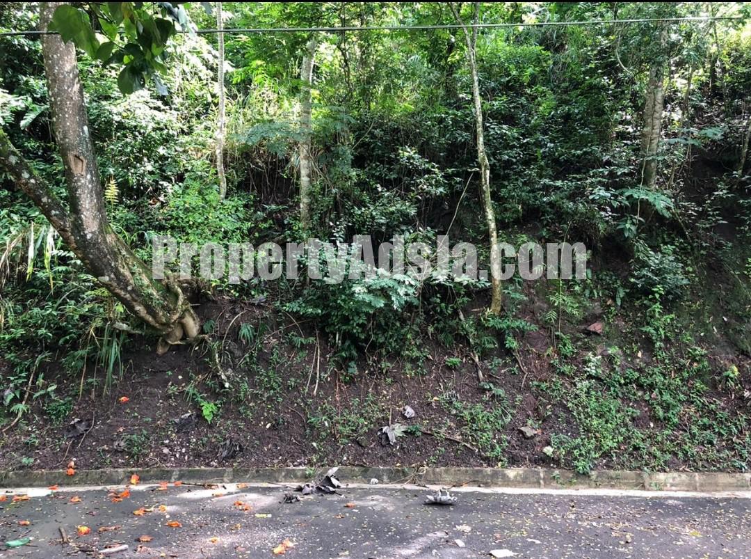 Residential lot For Sale in GORDON TOWN, Kingston / St. Andrew Jamaica