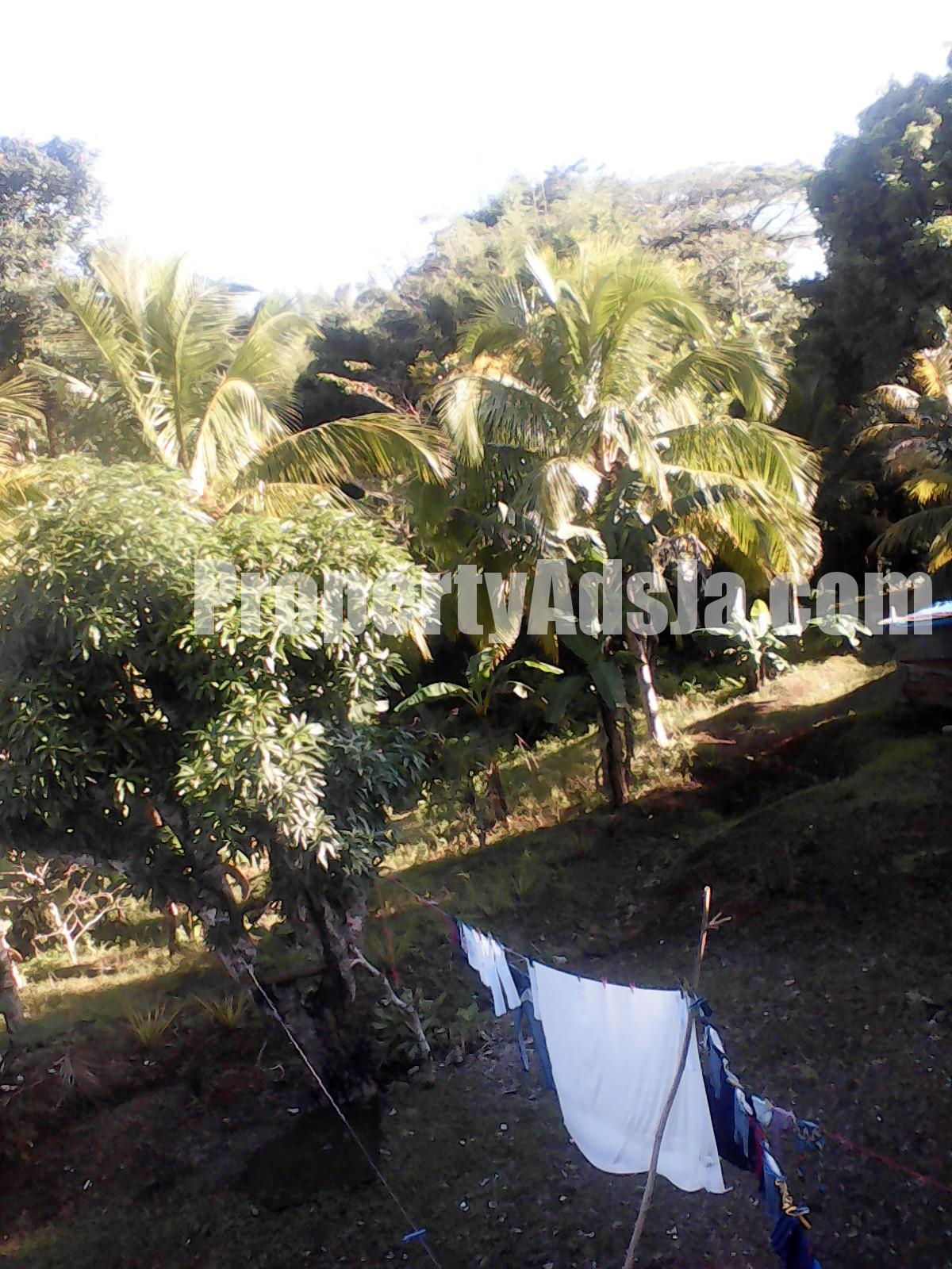 House For Sale in Guys Hill, St. Catherine Jamaica