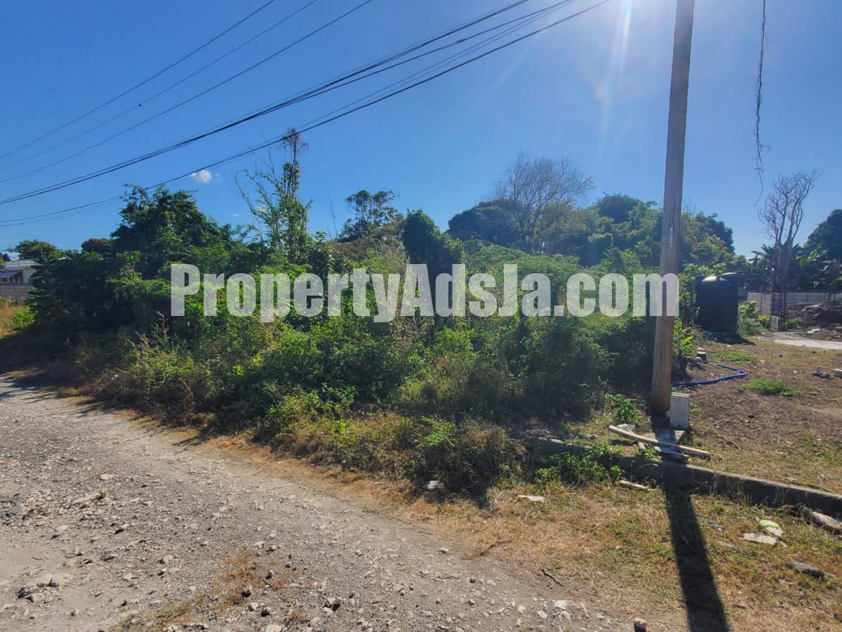 Residential lot For Sale in Albion Estate, St. Thomas Jamaica