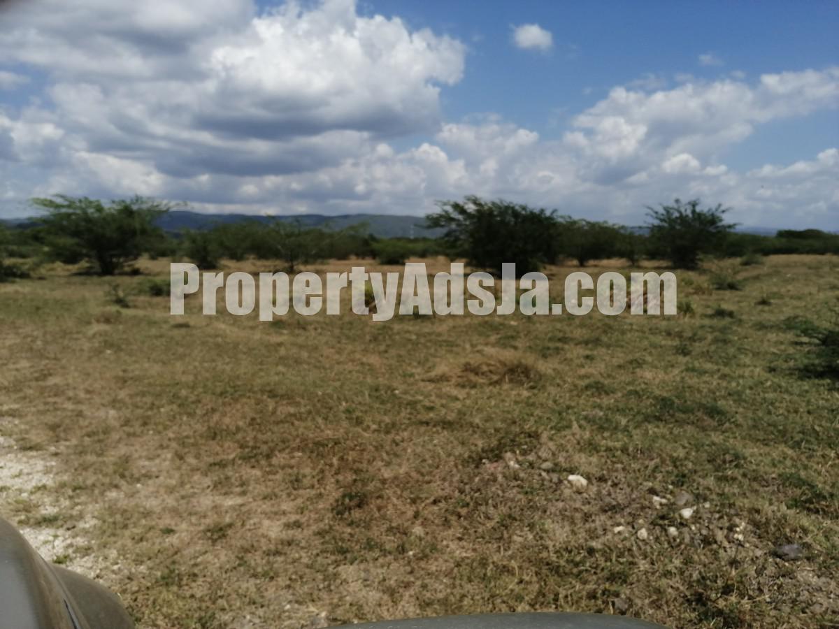 Commercial/farm land For Sale in Four Paths, Clarendon Jamaica