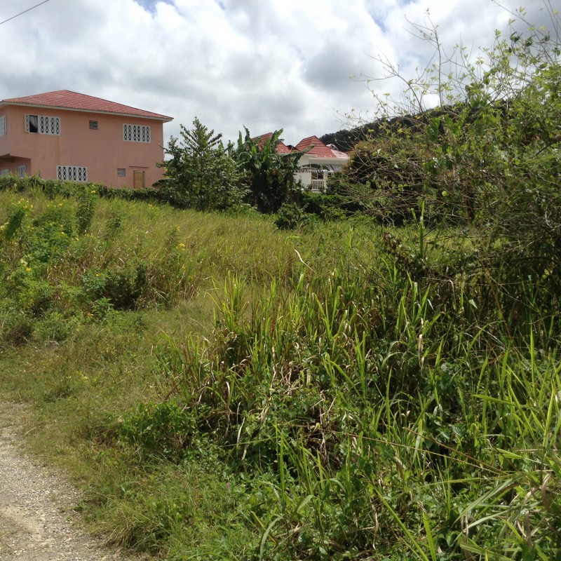 Residential lot For Sale in Boscobel, St. Mary Jamaica