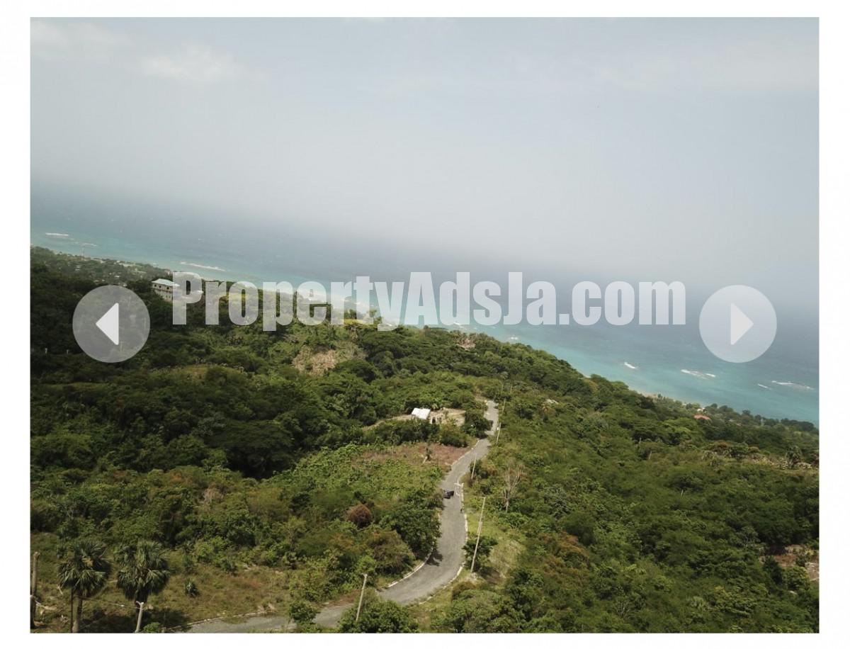 Land For Sale in Whitehouse, Westmoreland Jamaica