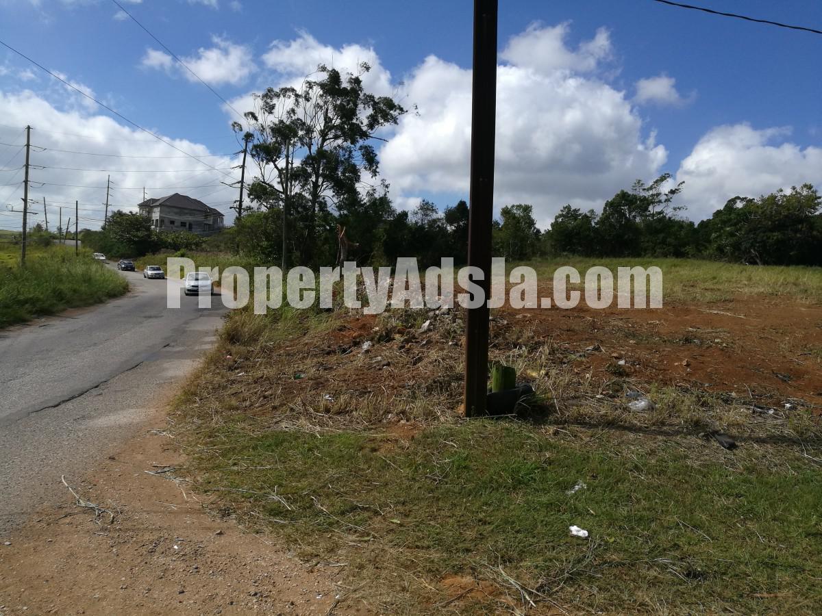Commercial/farm land For Rent in Kingsland, Manchester Jamaica