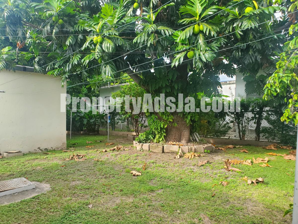 House For Rent in Mona, Kingston / St. Andrew Jamaica