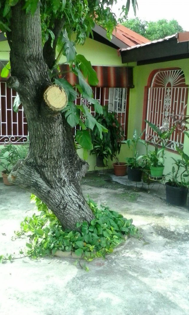 House For Sale in Constant Spring Gardens, Kingston / St. Andrew