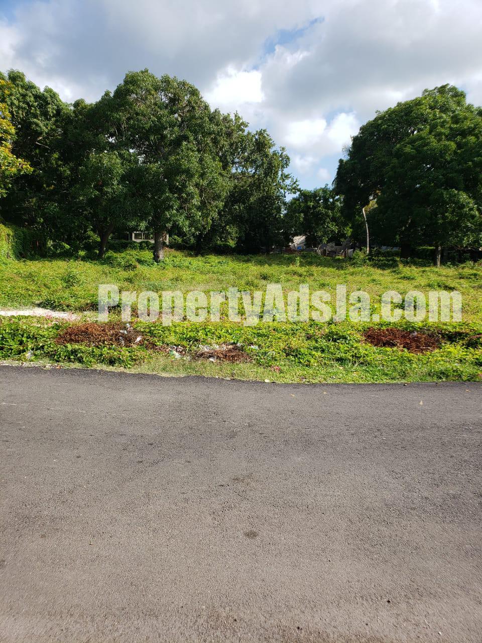 Land For Sale in Lionel town, Clarendon Jamaica