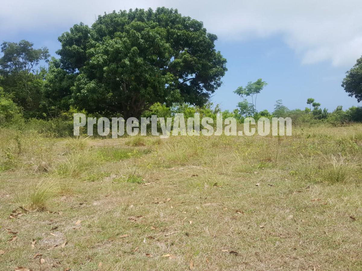 Residential lot For Sale in St Elizabeth, St. Elizabeth Jamaica