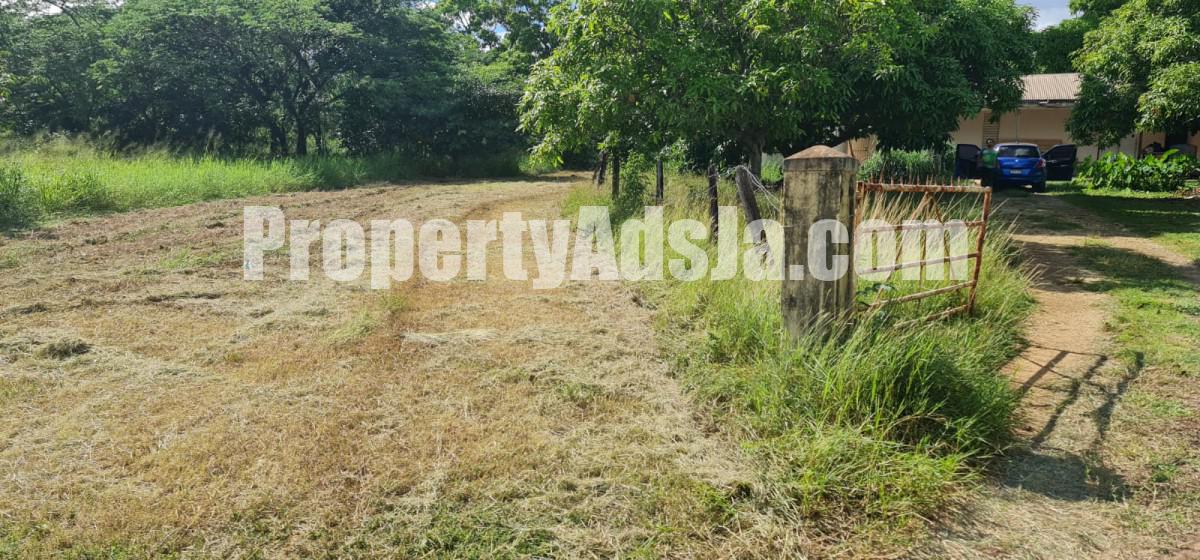 Land For Sale in Toll Gate, Clarendon Jamaica