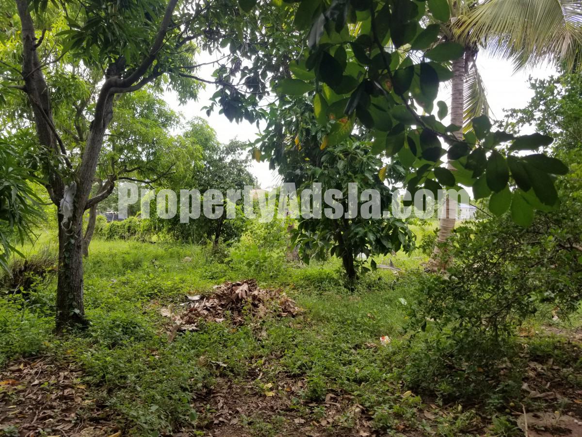 House For Sale in BUSHY PARK, St. Catherine Jamaica