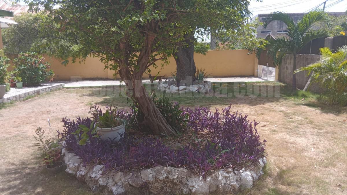 Flat For Rent in Vineyard Town, Kingston / St. Andrew Jamaica photo 7
