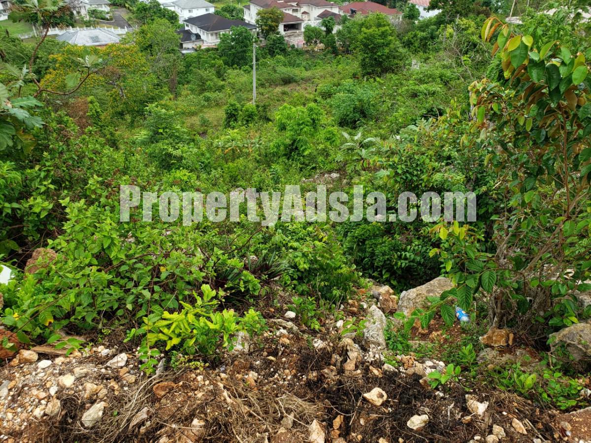 Residential lot For Sale in Spring Valley Estate, St. Mary Jamaica