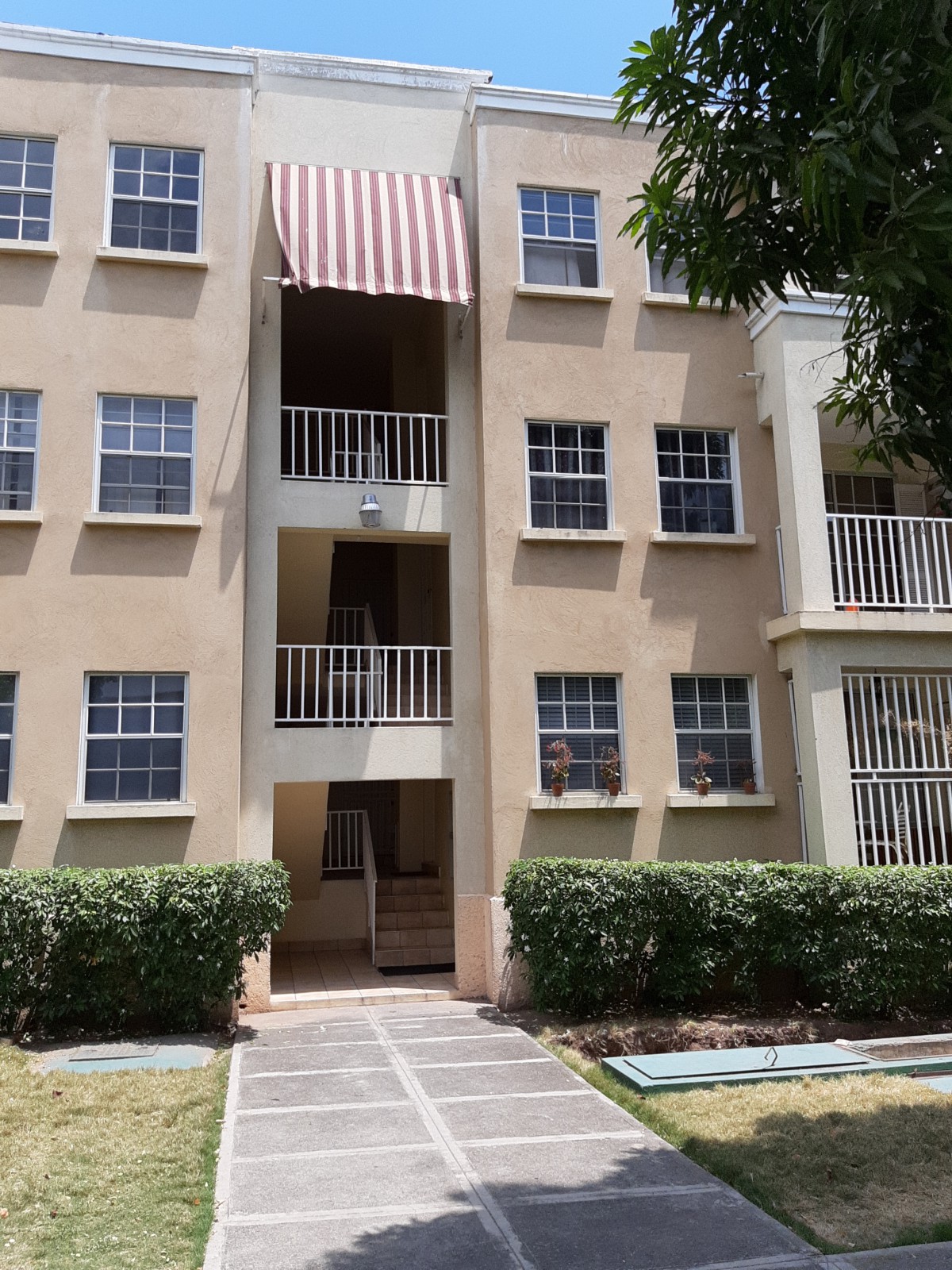 Apartment For Rent in New Kingston, Kingston / St. Andrew Jamaica