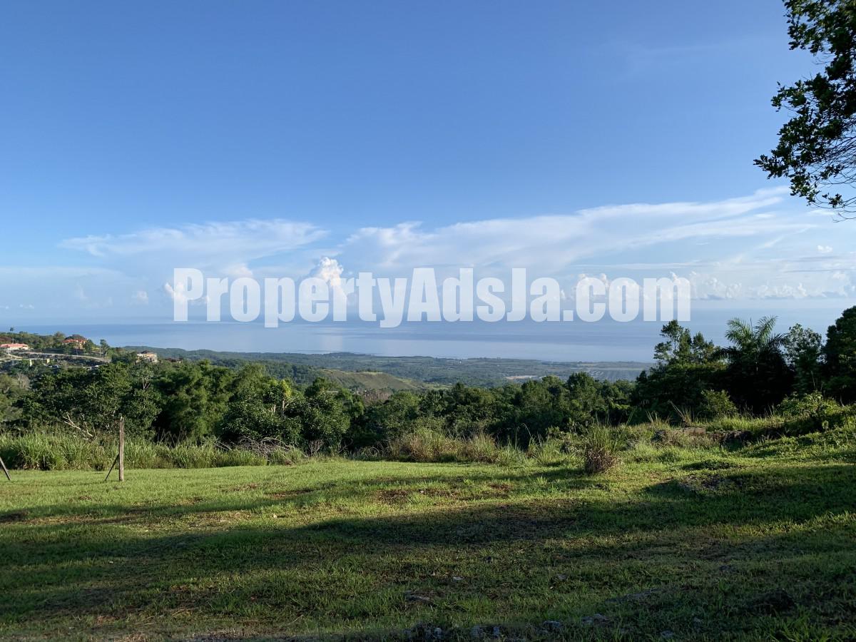 Residential lot For Sale in Bamboo, St. Ann Jamaica