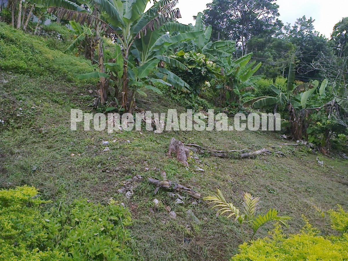 Land For Sale in Browns Town, St. Ann Jamaica
