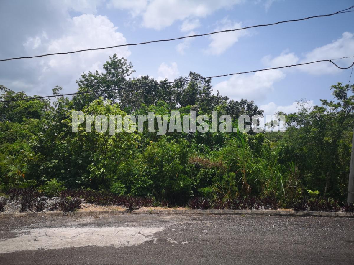 Residential lot For Sale in Mandeville, Manchester Jamaica
