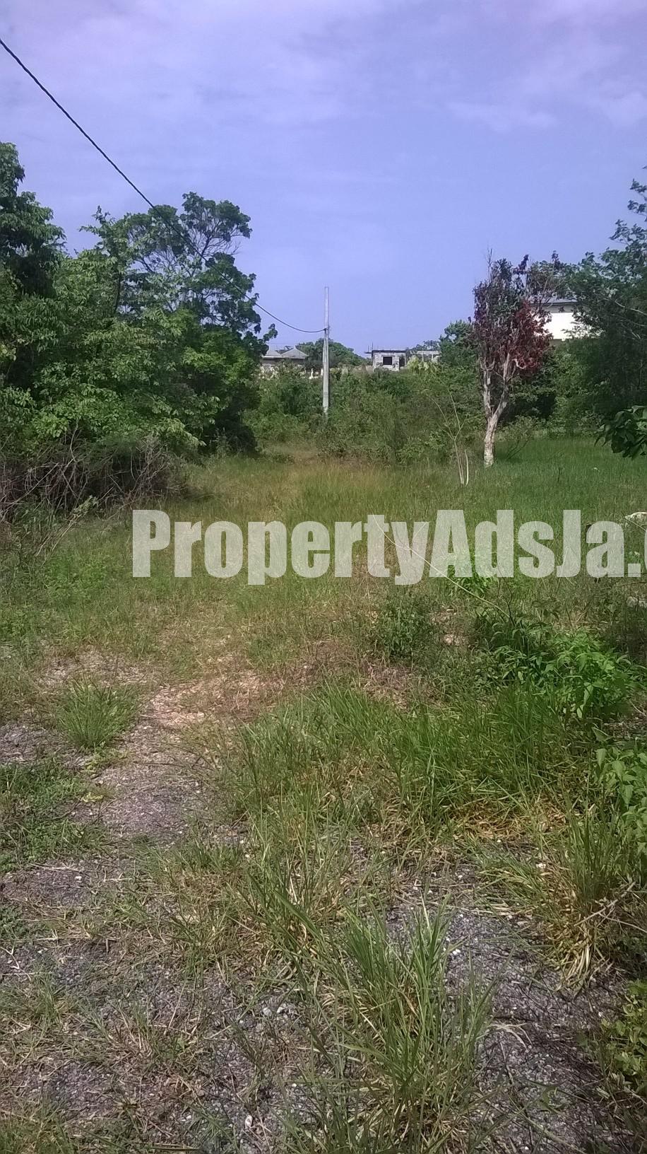 Residential lot For Sale in Albion, St. Thomas Jamaica