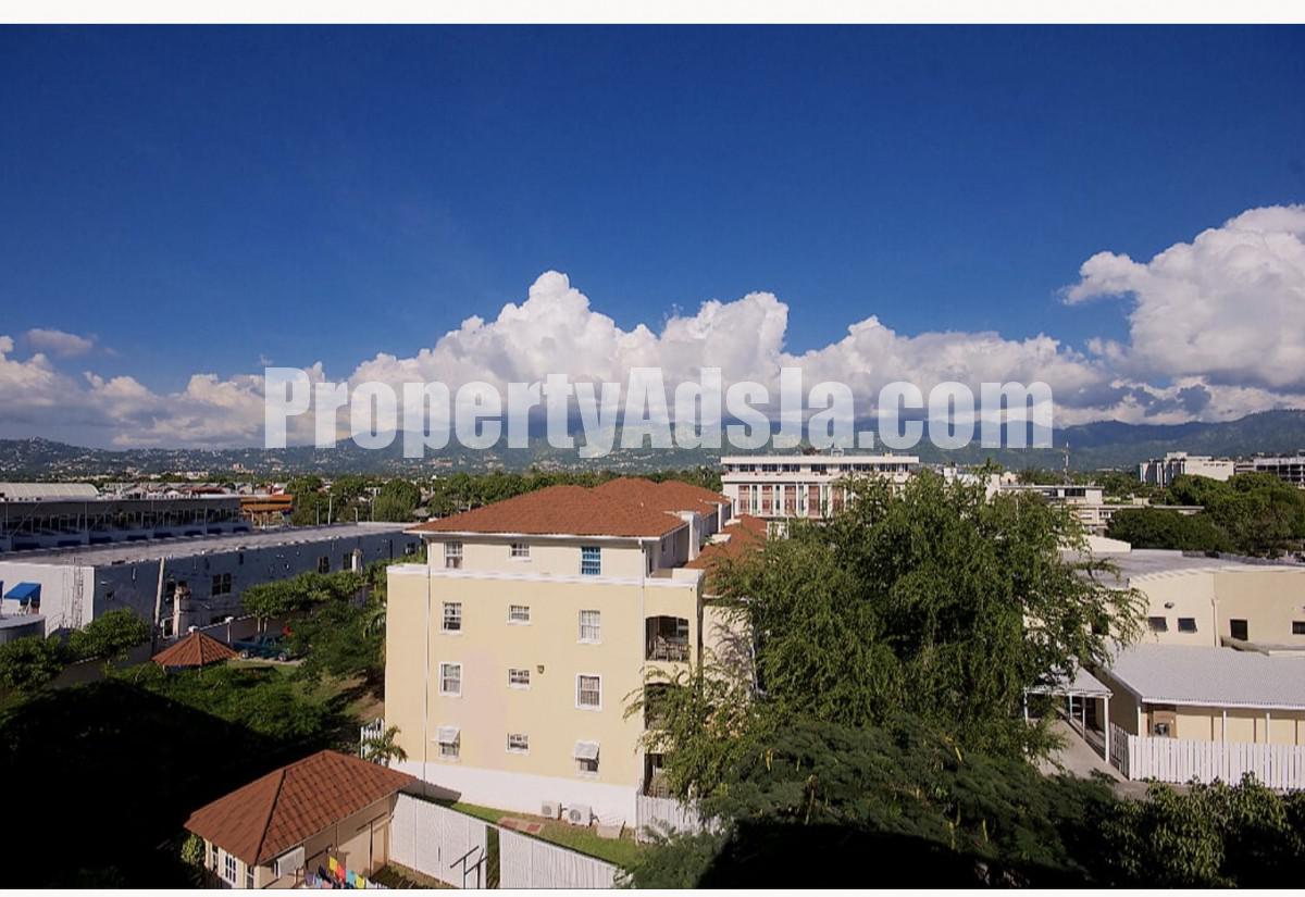 Apartment For Rent in HalfWayTree, Kingston / St. Andrew Jamaica Apartment For Rent in HalfWayTree, Kingston / St. Andrew Jamaica