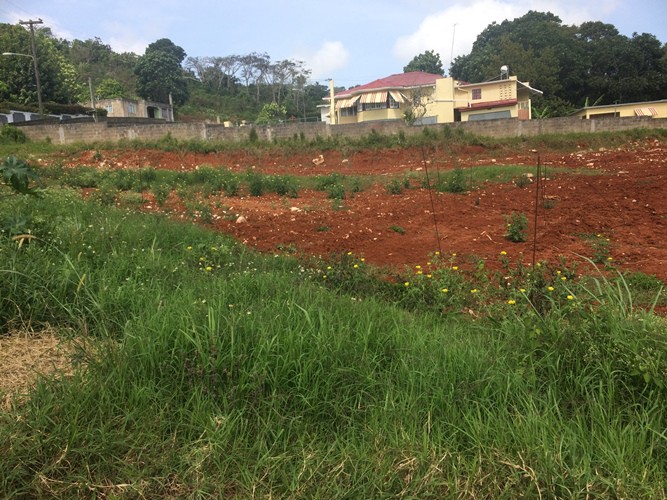 Residential lot For Sale in Mandeville, Manchester, Jamaica