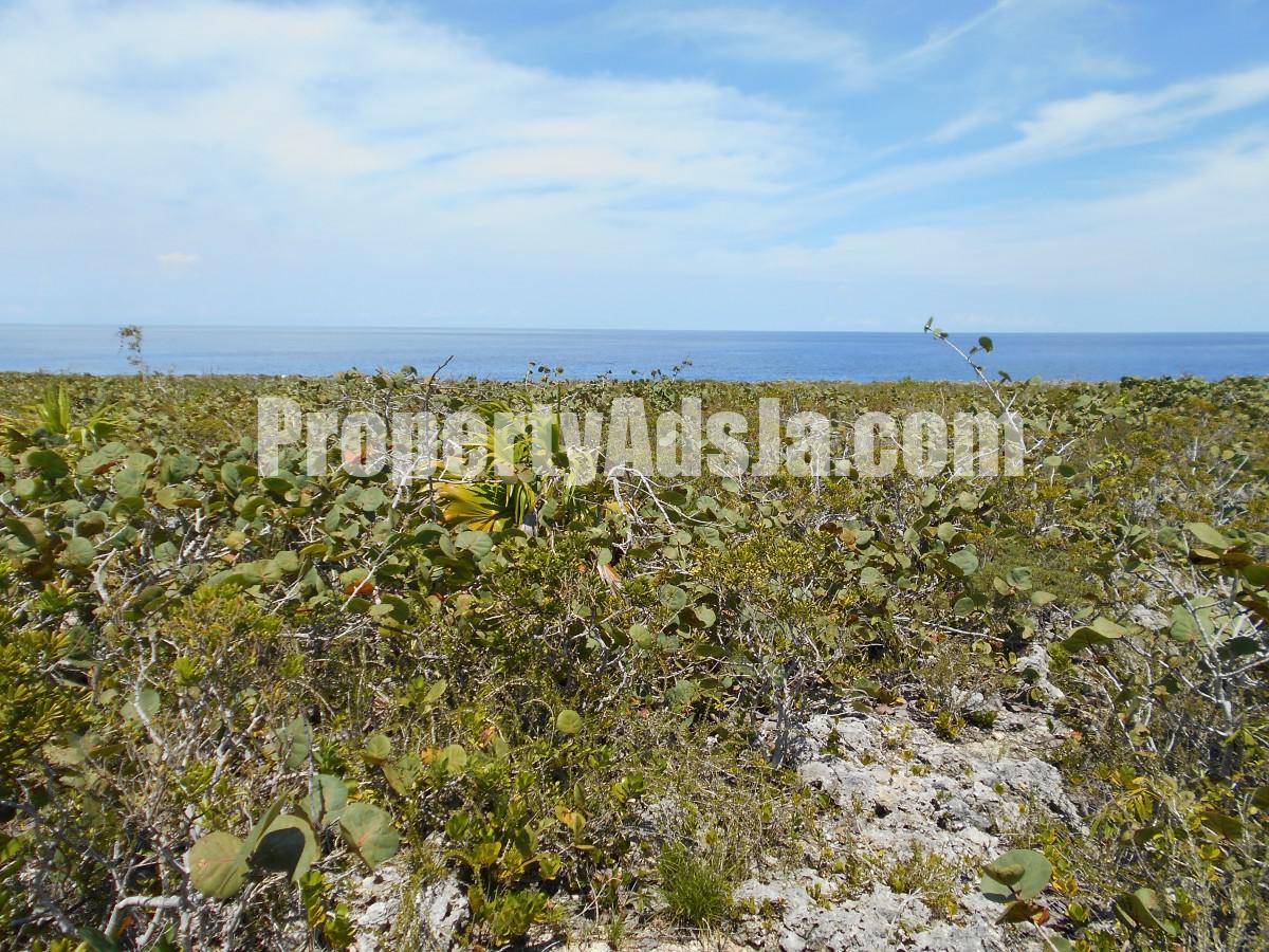 Residential lot For Sale in Galina, St. Mary Jamaica