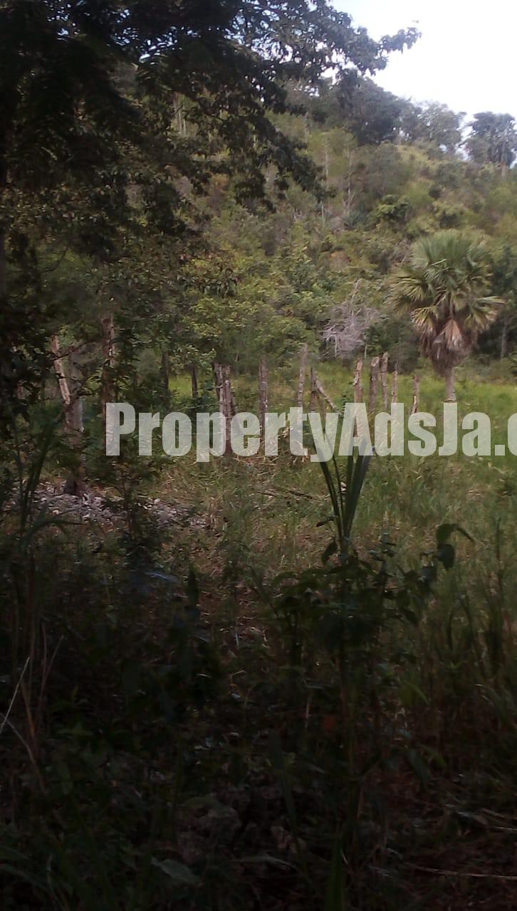 Residential lot For Sale in Malvern, St. Elizabeth Jamaica