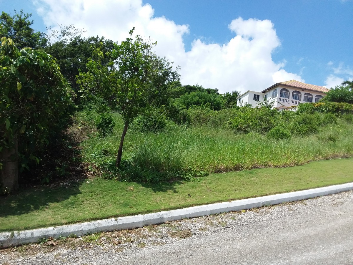 Residential lot For Sale in Ingleside Mandeville, Manchester Jamaica