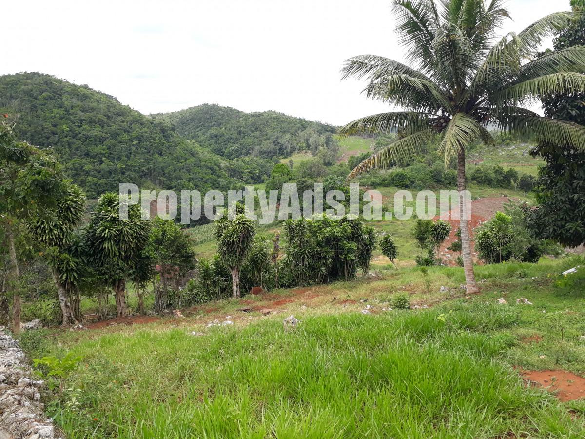 Residential lot For Sale in Lumsden, St. Ann Jamaica