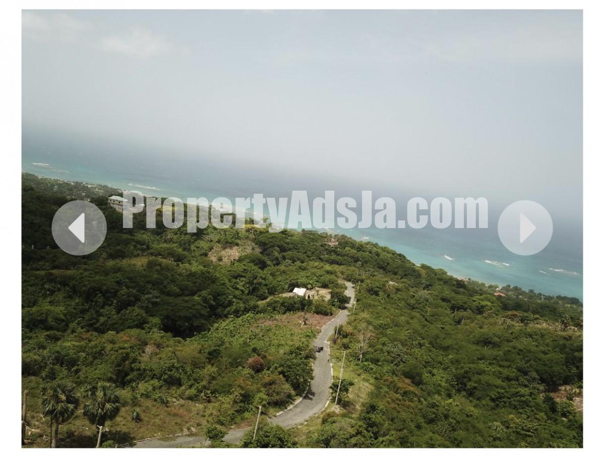 Land For Sale in Whitehouse, Westmoreland Jamaica