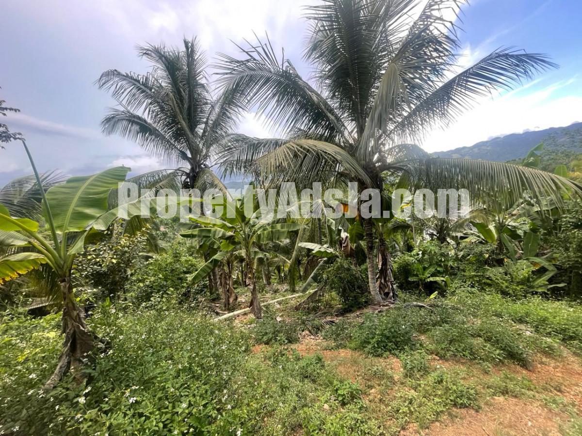 Commercial/farm land For Sale in Ewarton, St. Catherine Jamaica