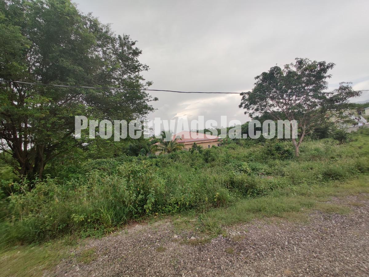 Residential lot For Sale in 232 Olive Park, St. Elizabeth Jamaica