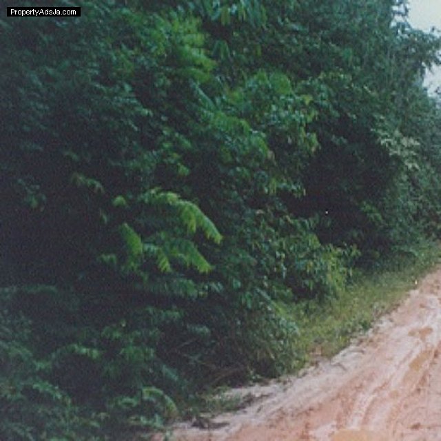 Residential lot For Sale in Moneague, St. Ann Jamaica