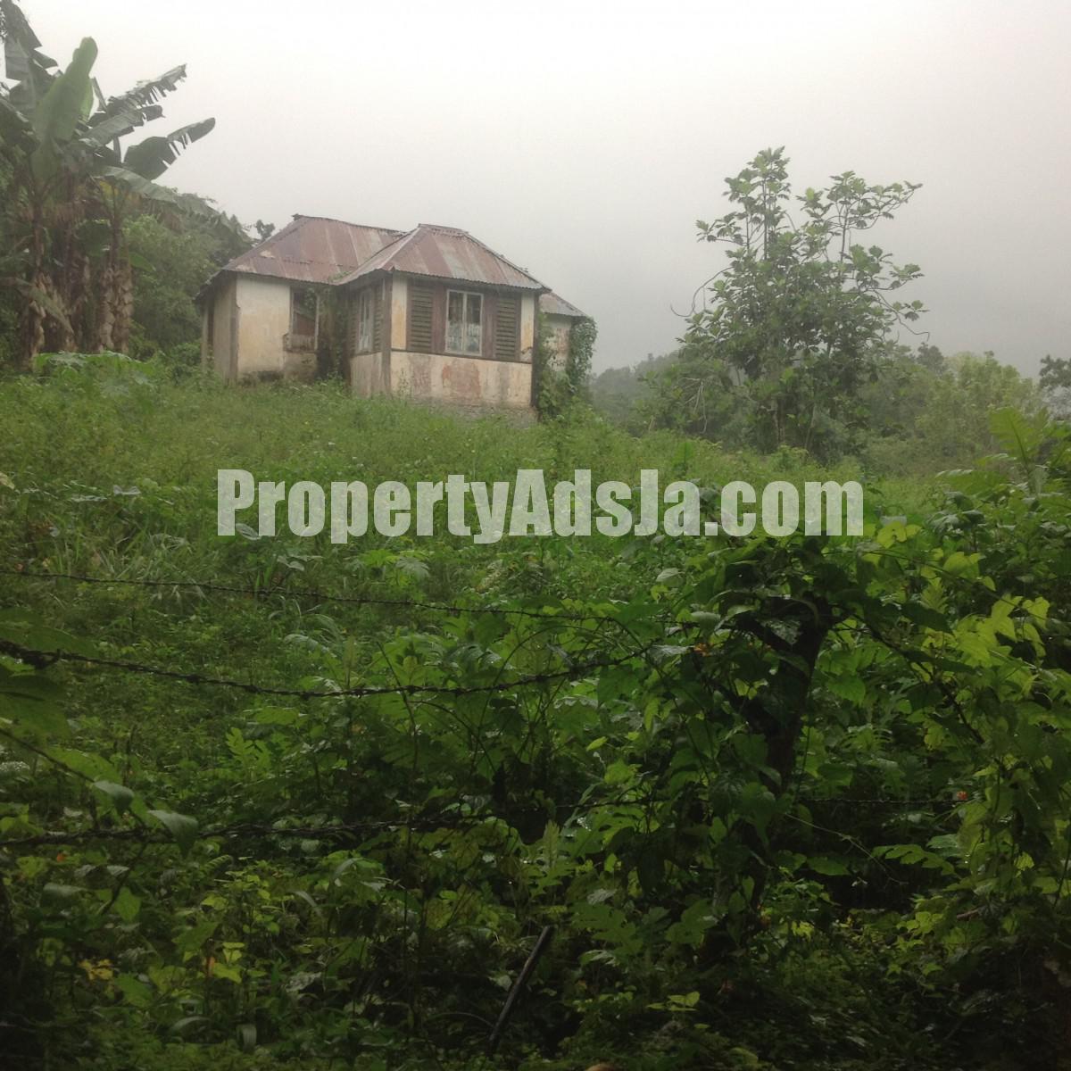 Residential lot For Sale in Claremont, St. Ann Jamaica
