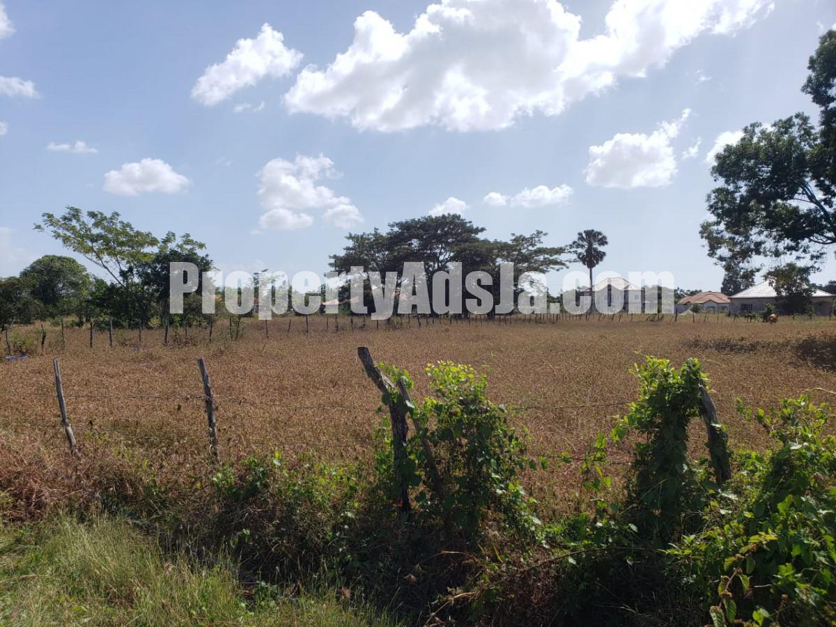Residential lot For Sale in Black river, St. Elizabeth Jamaica
