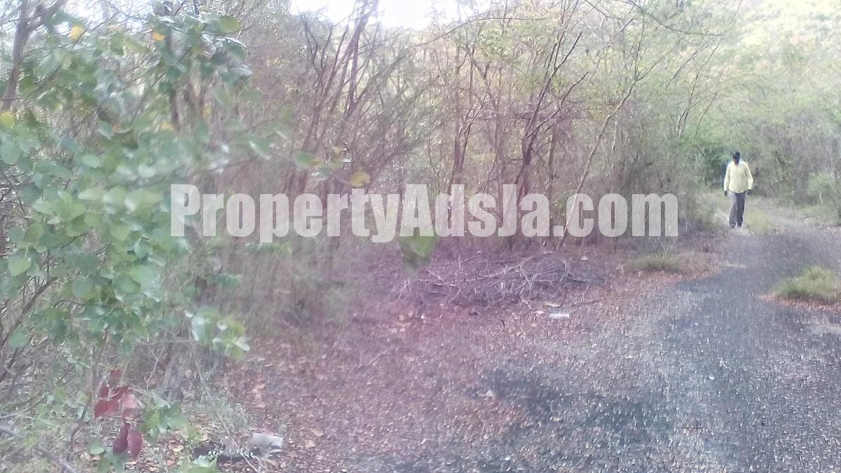 Residential lot For Sale in Cocoa Walk, St. Catherine Jamaica