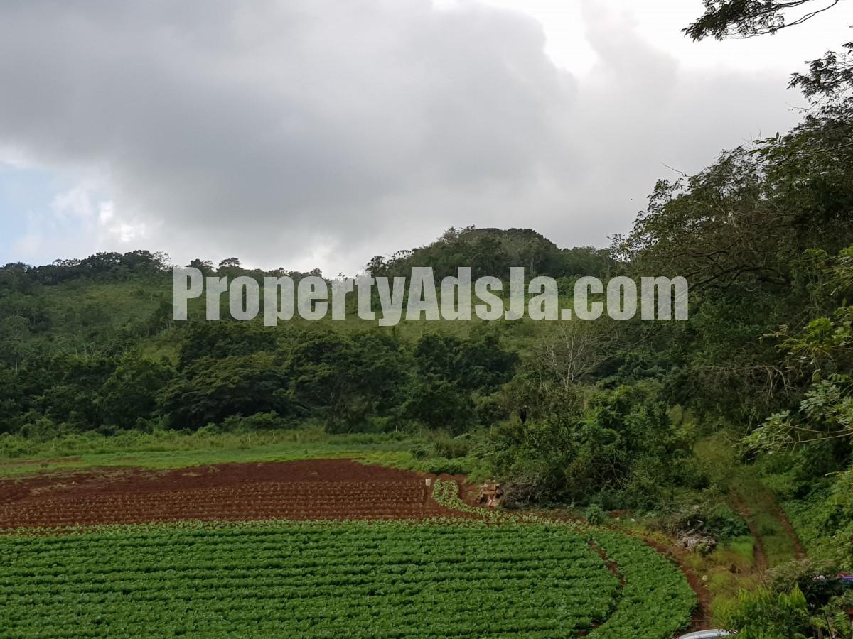 Commercial/farm land For Sale in Carton Estate Off road leading from