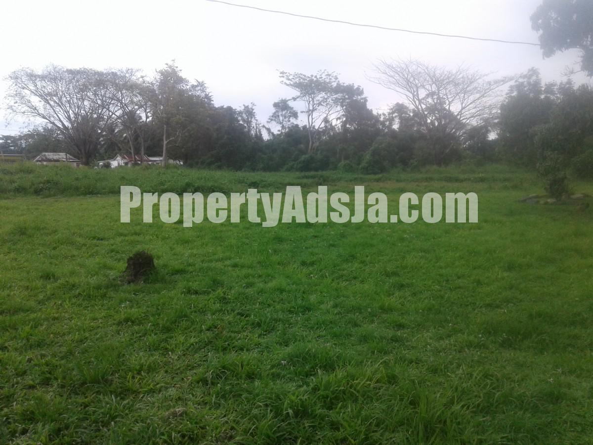 Residential lot For Sale in Bog Walk, Kingston / St. Andrew Jamaica