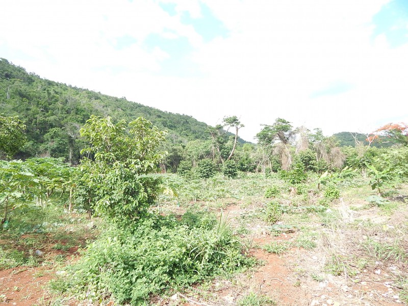 Commercial/farm land For Sale in RED HILLS, Kingston / St. Andrew