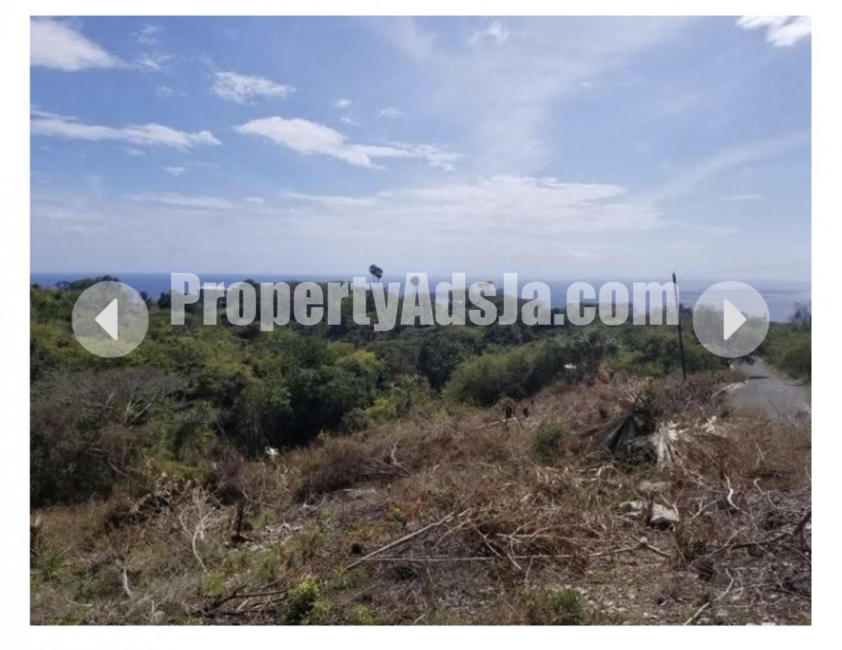 Land For Sale in Whitehouse, Westmoreland Jamaica