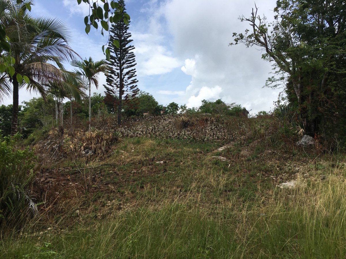 Residential lot For Sale in Sandy Bay, Hanover Jamaica