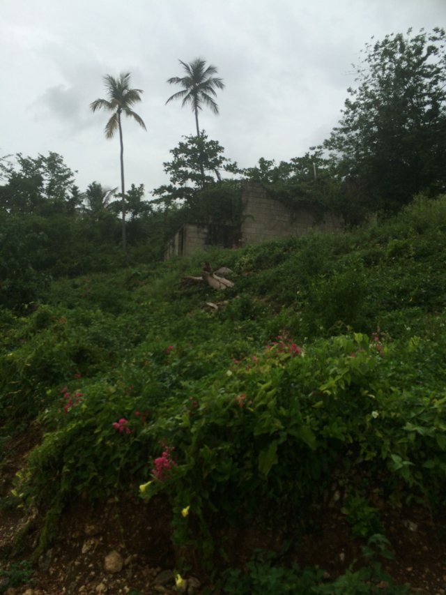 Residential lot For Sale in Balaclava, St. Elizabeth Jamaica