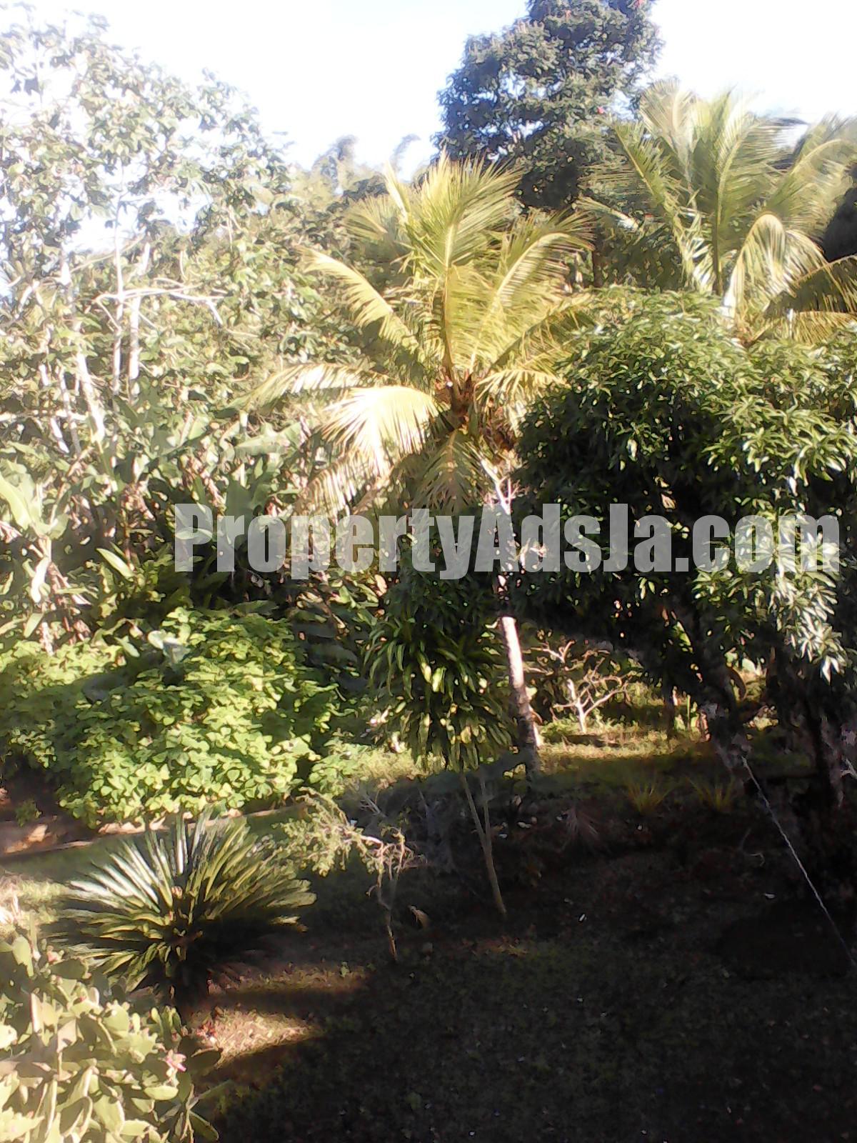 House For Sale in Guys Hill, St. Catherine Jamaica