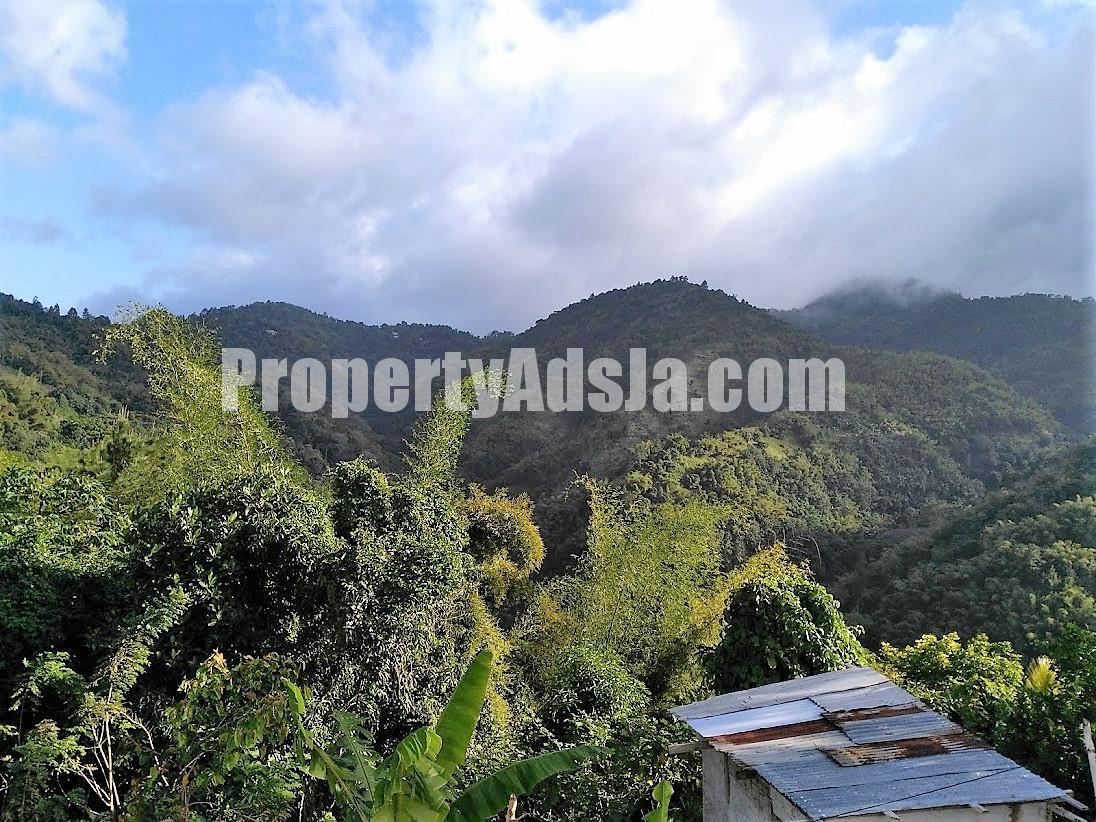 House For Sale in Cedar Valley, St. Thomas Jamaica