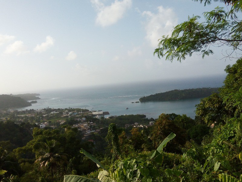 Commercial/farm land For Sale in Portland, Portland Jamaica