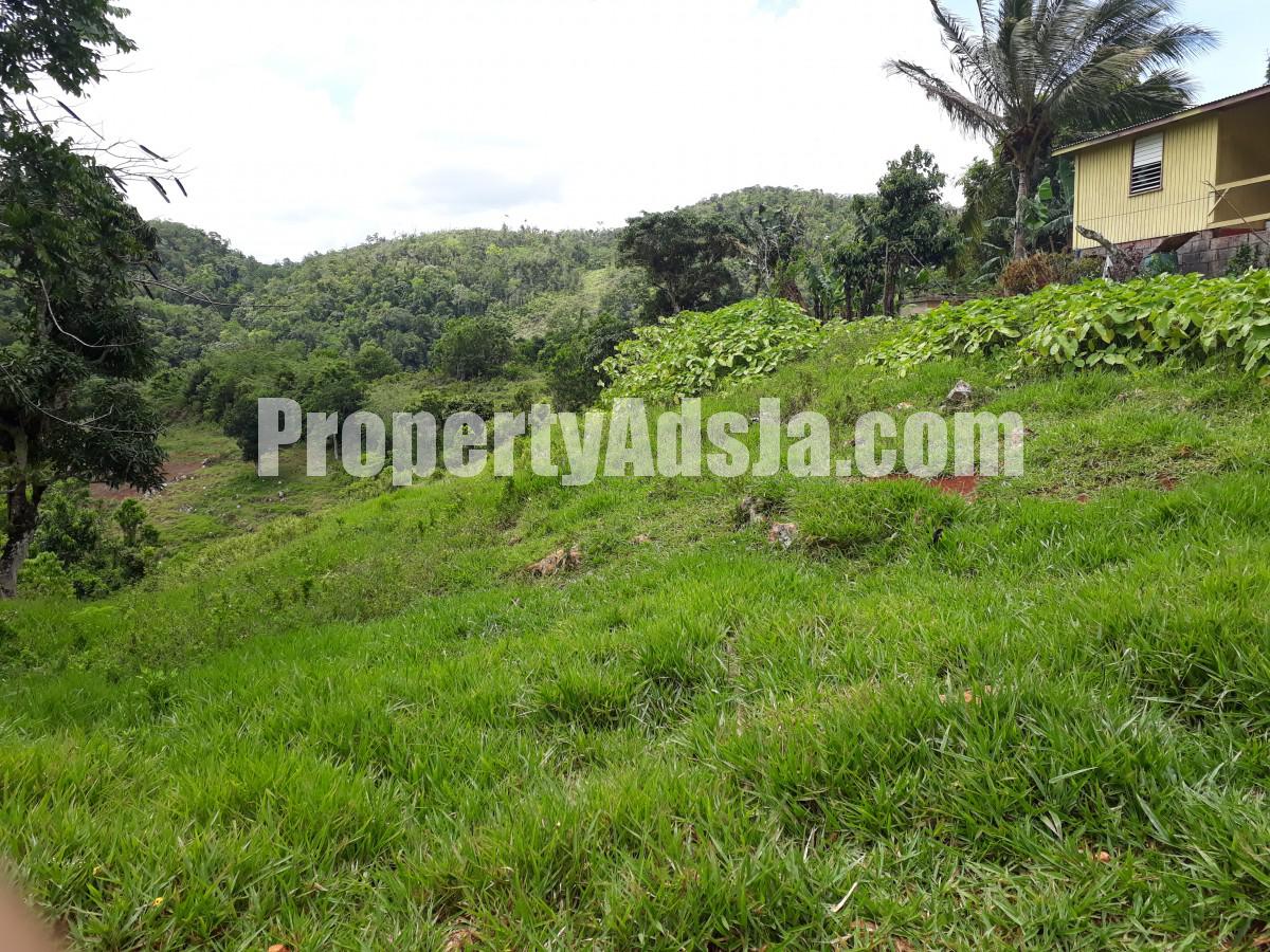 Residential lot For Sale in Lumsden, St. Ann Jamaica