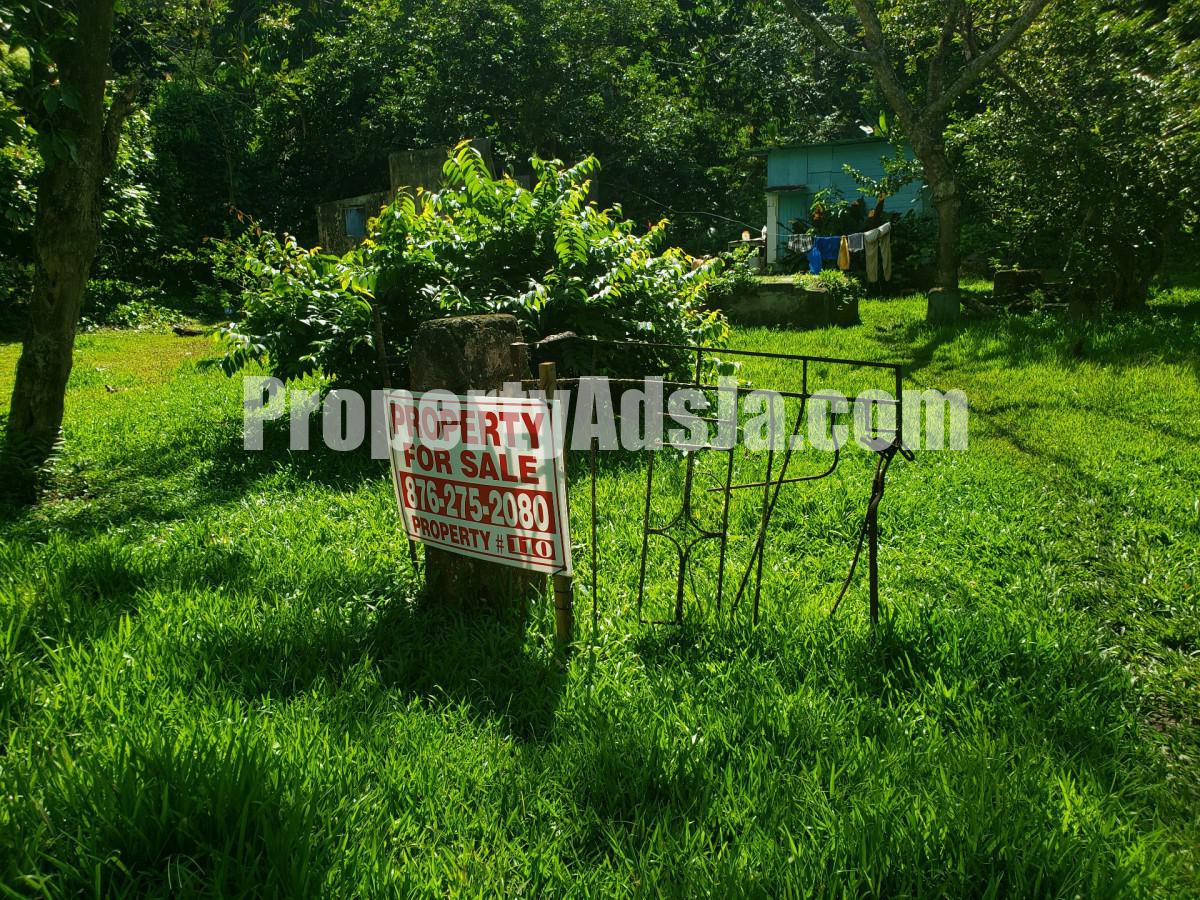 Land For Sale in Frankfield, Clarendon Jamaica