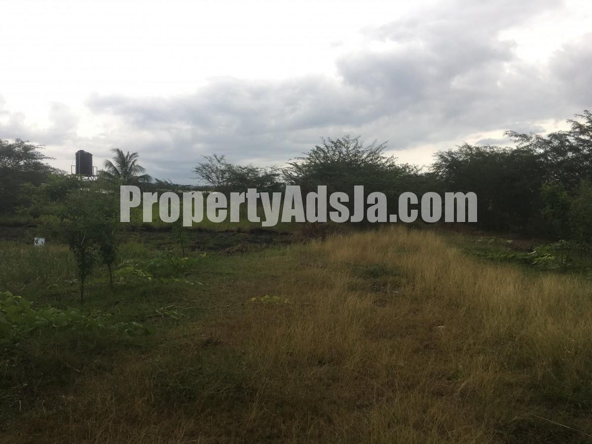 Commercial/farm land For Sale in Clarendon, Clarendon Jamaica