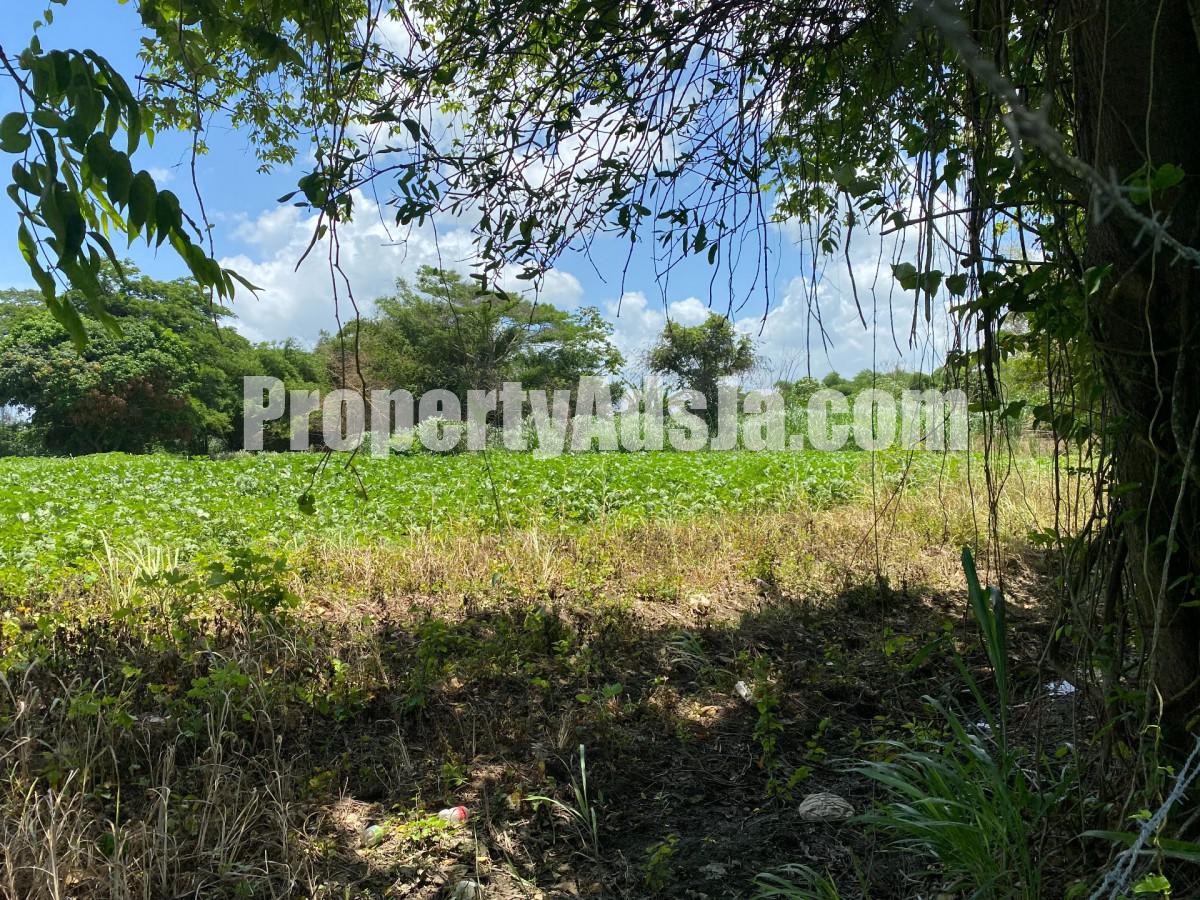 Residential lot For Sale in Bushy Park, St. Catherine Jamaica