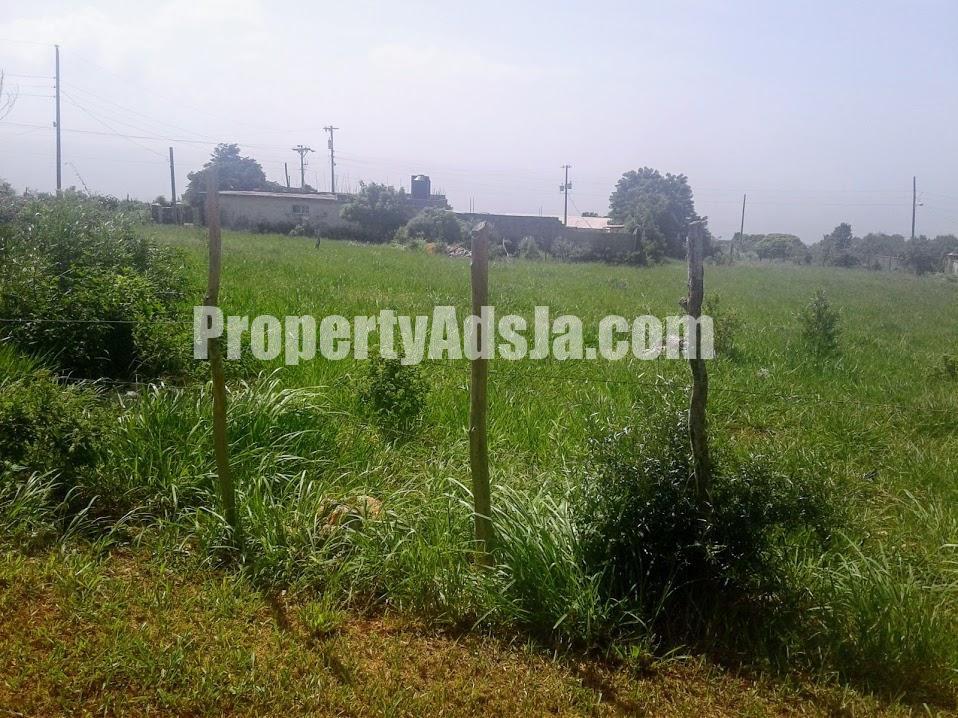 Residential lot For Sale in Spur Tree, Manchester Jamaica