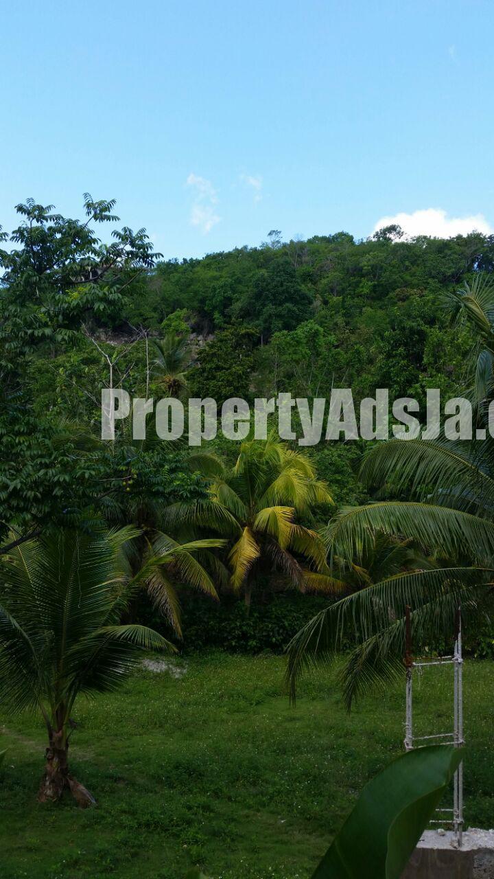 Residential lot For Sale in Hopewell Sheffield Road, Westmoreland