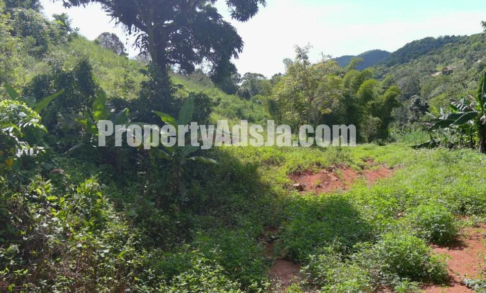 Land For Sale in Chudleigh Walderston PO, Manchester Jamaica